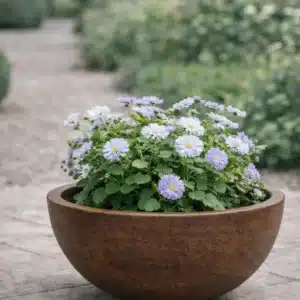 Vaso Bacia Decorativa Riscatto Médio Ferrugem 35cm em Polietileno Premium | Loplast