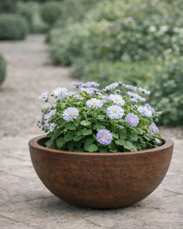 Vaso Bacia Decorativa Riscatto Médio Ferrugem 35cm em Polietileno Premium | Loplast